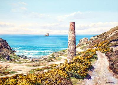 Trevellas Cove  by Monica Childs